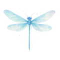 Ethereal Wings - Design